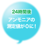 24時間後アンモニアの測定値が0に！