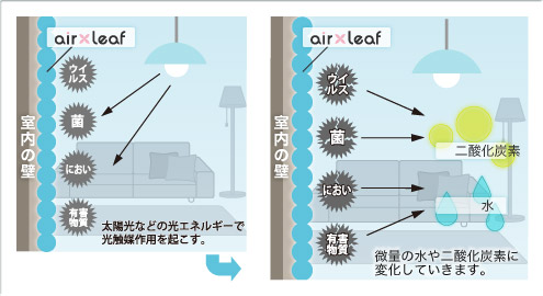 有害物質分解の仕組み