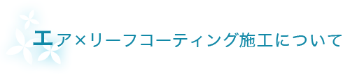 エアリーフコーティング施工について