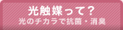 光触媒って？ 光のチカラで抗菌・消臭