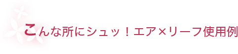 こんな所にシュッ！エア×リーフ使用例