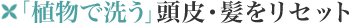 「植物で洗う」髪・頭皮をストレスからリセット